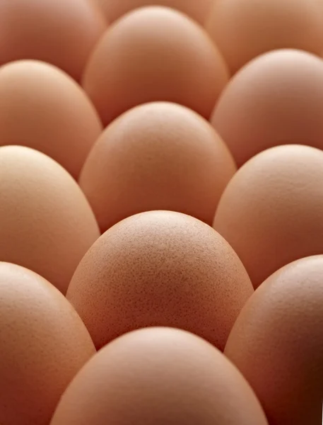 Alimentos con huevo — Foto de Stock
