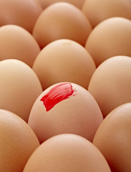 蛋食品油漆复活节 — 图库照片