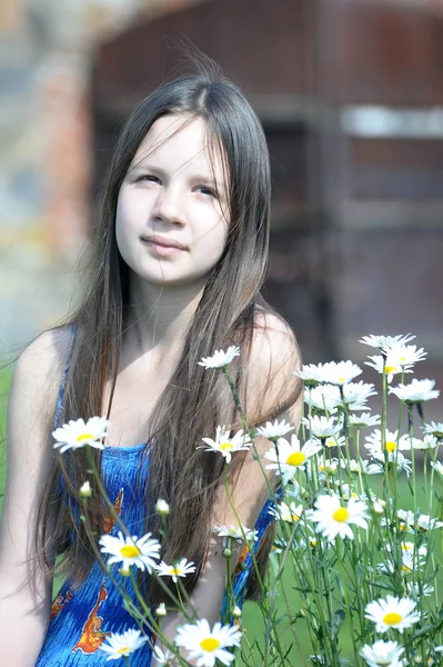 十几岁的女孩附近雏菊 — 图库照片
