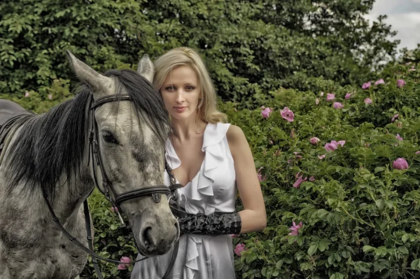 Sexy bionda accanto al cavallo — Foto Stock