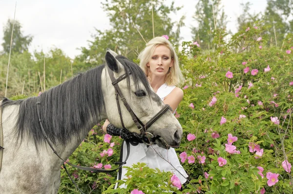 Sexy blondýna u koně — Stock fotografie