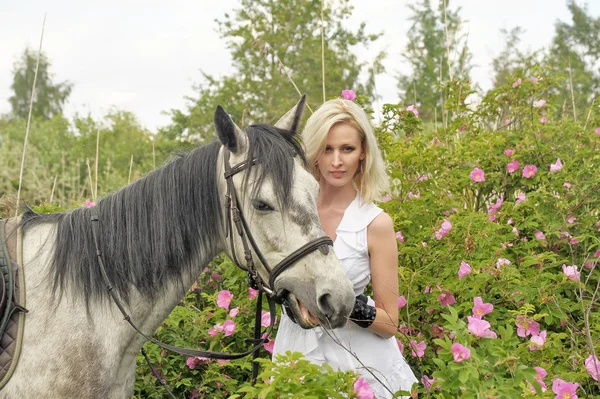 Сексуальная блондинка возле лошади — стоковое фото