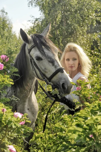 Blondes Mädchen mit Pferd — Stockfoto