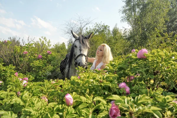 Ragazza bionda con un cavallo — Foto Stock