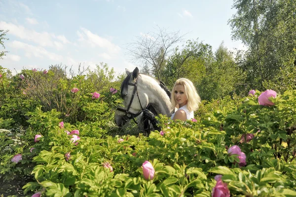 Блондинка с лошадью — стоковое фото