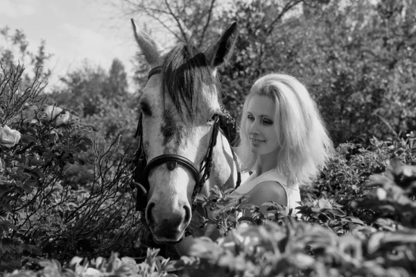 Blond tjej med en häst — Stockfoto