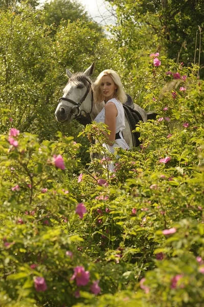 Blond tjej med en häst — Stockfoto
