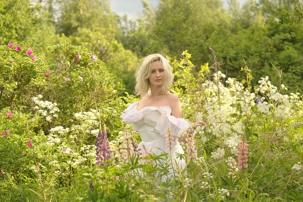 Mädchen im weißen Kleid auf dem Feld zwischen den Blumen — Stockfoto
