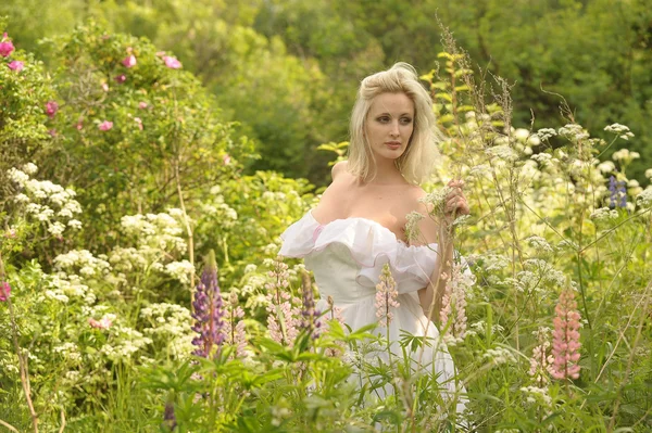 Дівчина в білій сукні в полі серед квітів — стокове фото