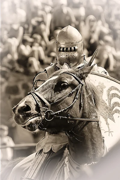Średniowieczni rycerze w zbroi — Zdjęcie stockowe