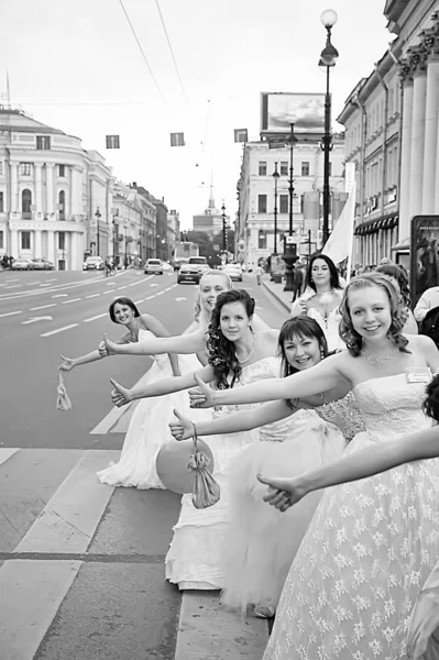 Brides parade — Stock Photo, Image