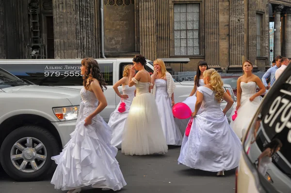 Desfile de novias 2012 — Foto de Stock