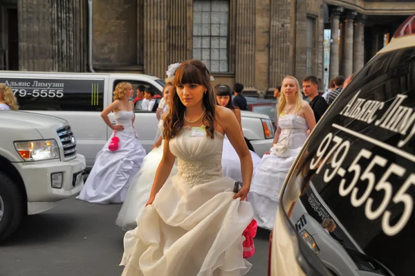 Stock image Brides parade 2012