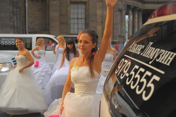 Stock image Brides parade 2012