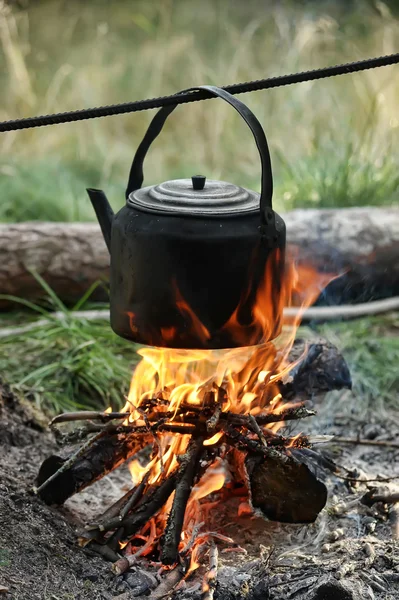 Stock image Teapot and kettle on a fire in the summer