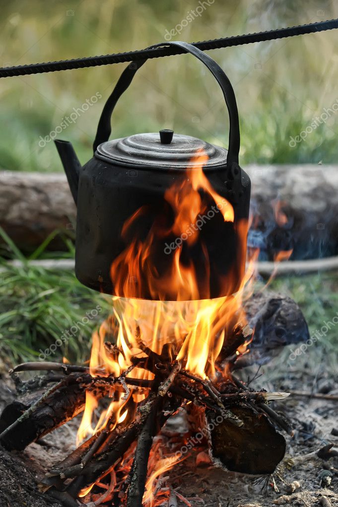 Teapot and kettle on a fire in the summer Stock Photo by evdoha