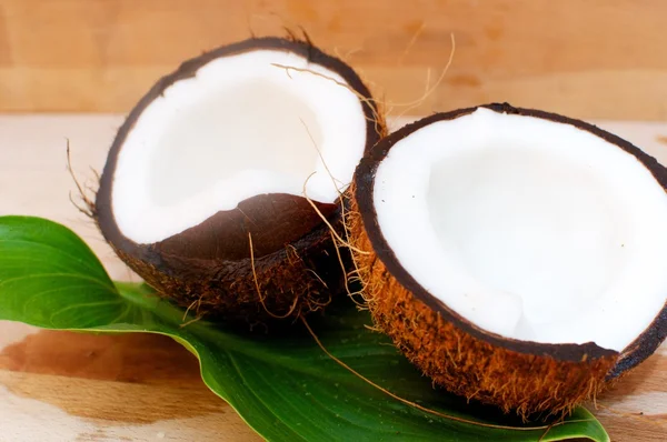 Coco-verano fruta fresca Imágenes de stock libres de derechos