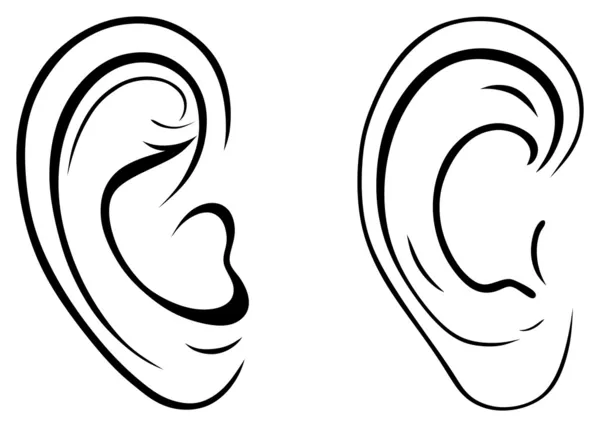 Drawing human ear — Stock Vector