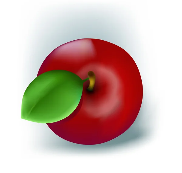 新鲜的红苹果 — 图库矢量图片