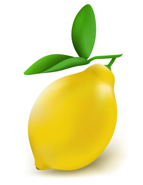 Lemon segar pada latar belakang putih - Stok Vektor