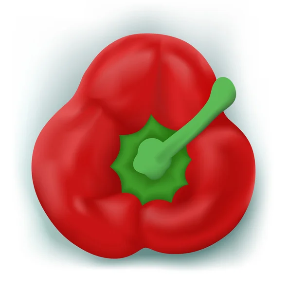 Bulharská paprika — Stockový vektor