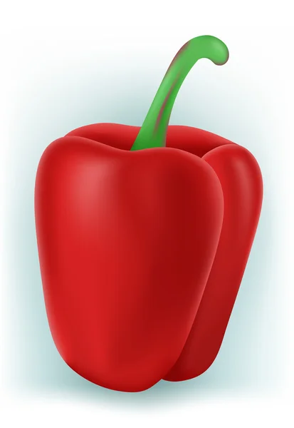 Sweet Bulgarian pepper — Stock Vector
