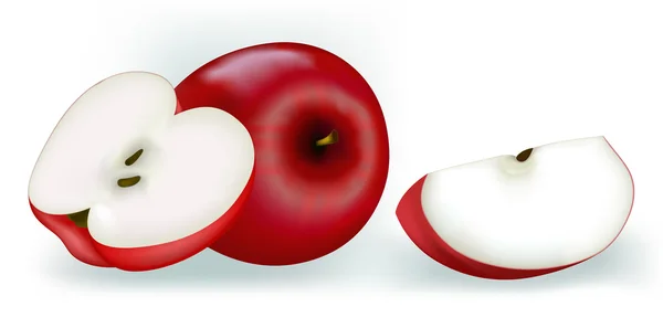 Свежие нарезанные яблоки — стоковый вектор