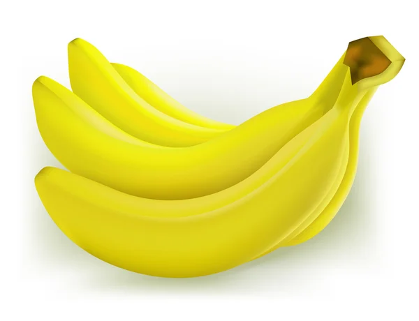 Ramo de plátanos — Vector de stock