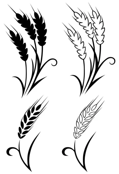 小麦とライ麦 — ストックベクタ