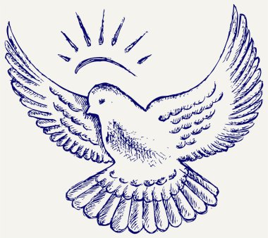 Vector dove symbol clipart