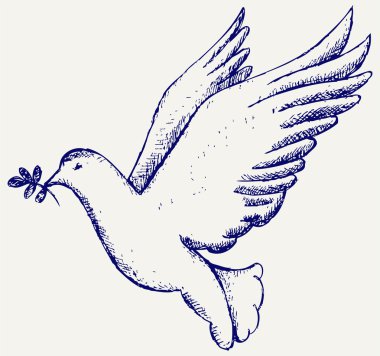 Vector dove symbol clipart