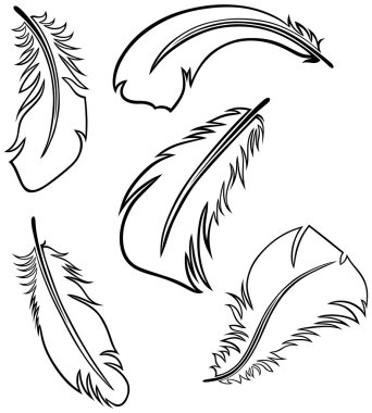 Feather Set clipart