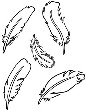 Feather Set clipart