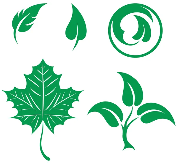 Green leaves set — Stock Vector