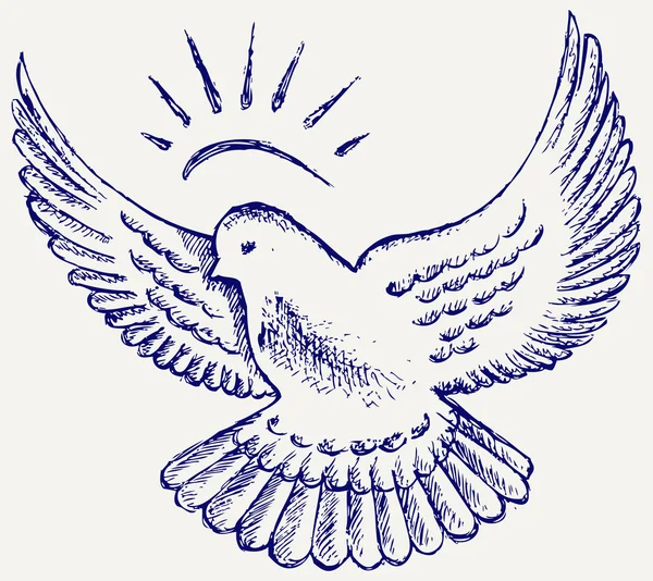 Symbole vectoriel colombe — Image vectorielle