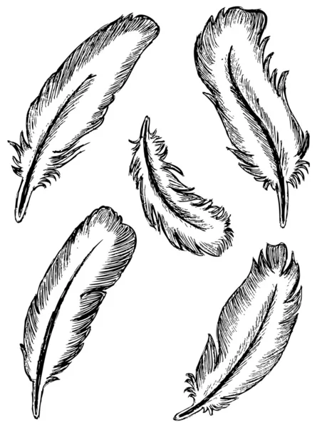 Set de plumas — Vector de stock