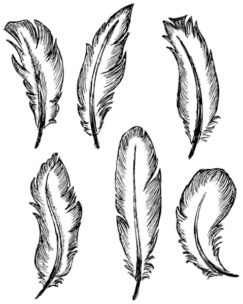 Set de plumes — Image vectorielle