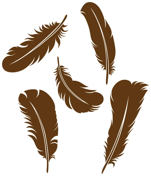 Set de plumes — Image vectorielle