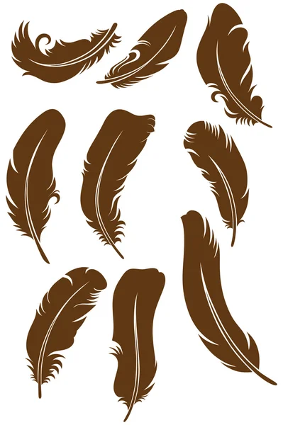 Feather Set — Stock Vector