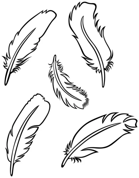 Feather Set — Stock Vector