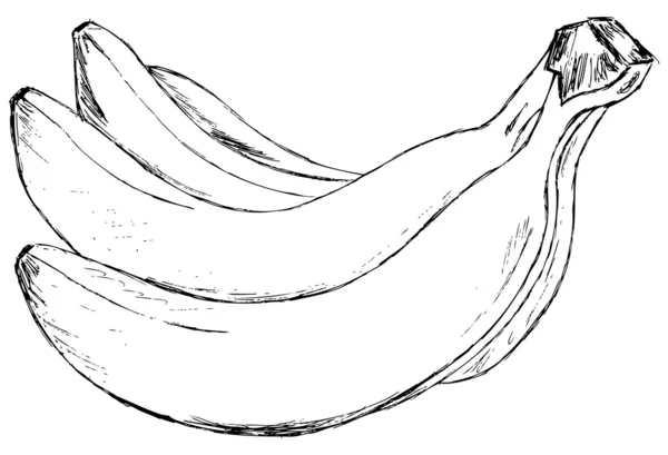 Banana di latar belakang putih - Stok Vektor