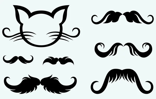 Mustache dibujado a mano y gatito — Vector de stock
