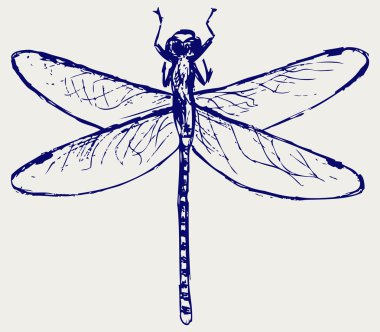 Dragonfly clipart