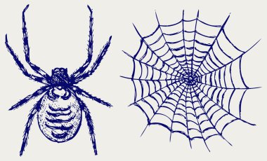 Spider and cobweb clipart