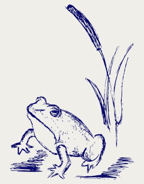 Frog sketch clipart