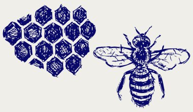 Working bee on honeycells clipart