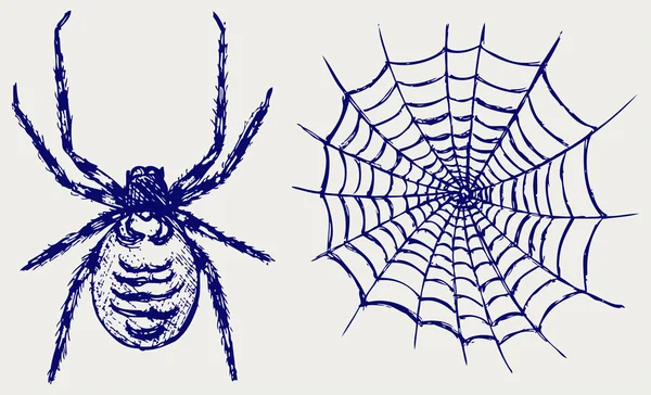 Spinne und Spinnennetz — Stockfoto