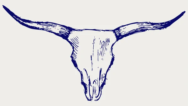 Crânio de cabeça de touro — Fotografia de Stock