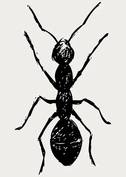 Porträtt av myran — Stockfoto