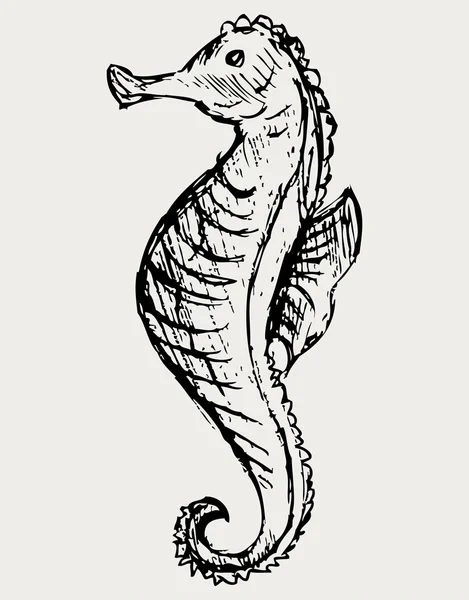 Seahorse sketch — Stock Photo, Image